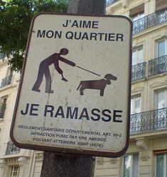 Le chien = the dog Left Foot First: The probability of stepping in a dog poop when strolling around Paris is very high.