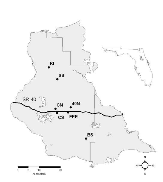Fig. 2.1 Populations where lizards were caught throughout the Ocala National Forest, FL.