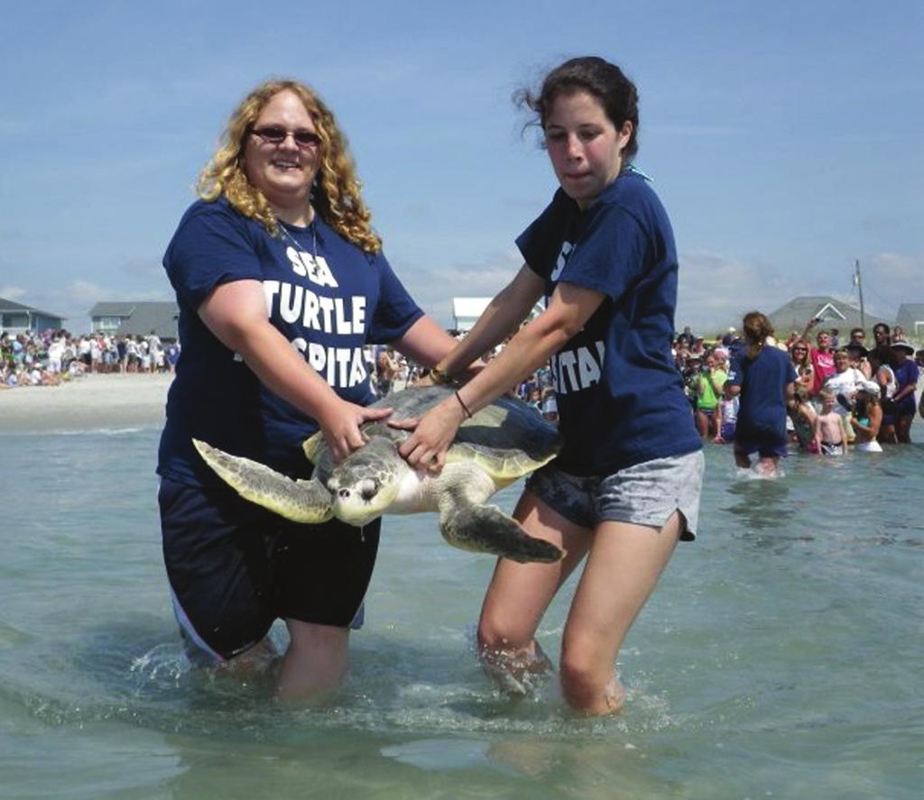 Karen Beasley Sea Turtle Rescue and Rehabilitation Center on Topsail Island, served as a healthy comparison to the captured turtles.