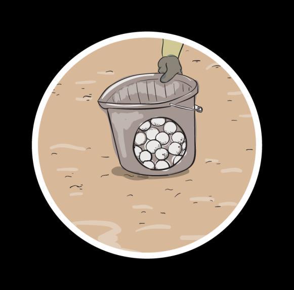 Step 4: Handling the Eggs To relocate the eggs, a designated patrol member will remove them from the original nest and place them in a bucket with moist sand in the bottom that was dug out from the