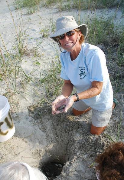 WELCOME Welcome to the Sea turtle nest protection on Kiawah has been actively helping and