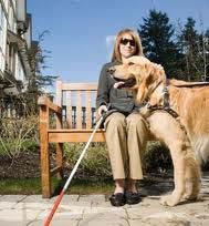 SERVICE ANIMALS and the ADA Basic Provision: A public entity shall modify its policies, practices, or procedures to permit the use of a service animal by an individual with a disability.