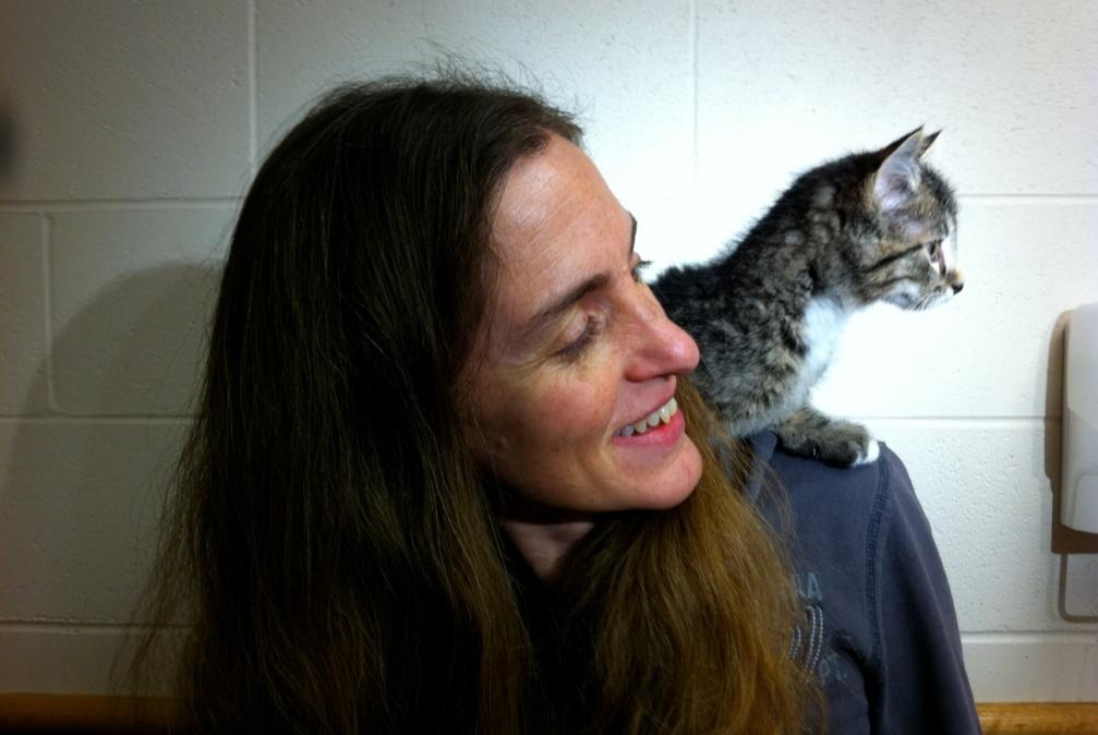 Sandra Newbury, DVM Koret Shelter Medicine Program Center for Companion Animal Health University of