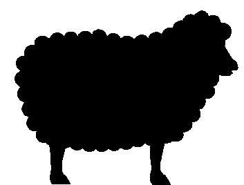 20. All Sheep exhibitors who sell in the Livestock Sale must comply with the Livestock Sale rules.