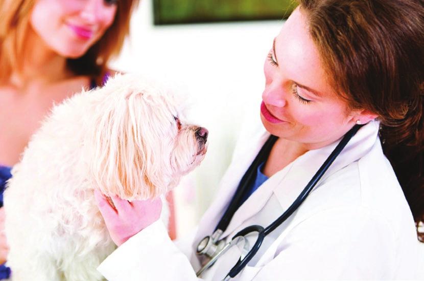 Animal health research programs It s heartbreaking for animal lovers to hear that their beloved pet has a chronic or fatal illness.