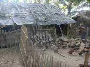 High percentages of mediumquality housing were observed in Battambang, Kampong Cham, Kampong Chhnang, Prey Veng, Siem Reap and Takeo.