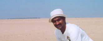 Tripathy and Pandav. Inter-rookery movements of Olive Ridley Turtles in Orissa Tripathy, B. 2005.