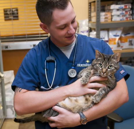 18 Choosing An Emergency Hospital What You Should Know The best time to choose a veterinary emergency hospital is when your pet doesn t need one when you have the time and presence of mind to make a