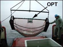 trawl /otter trawl / pair trawl