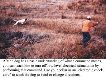 For example, if you only drill the dog on "Whoa" with the collar, the dog will think that every time he feels the collar turn on he should stop.