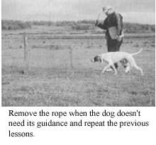 We also discussed introducing your dog to low-level electrical stimulation by teaching the first action of the Three-Action Introduction.