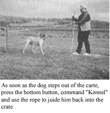 If you haven't read Parts I and II of this series, we suggest you do so before going on to Part III. In Part III, we will continue your dog's "basic training" program.