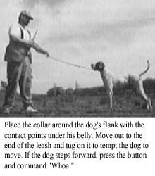 Make sure the dog truly understands how to turn off stimulation by moving away on command.