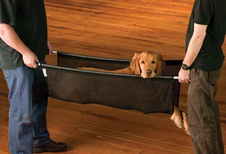 Pet Stretcher Our Pet Stretchers provide an essential, smart and safe way for your staff to transport a large animal that is injured or anesthetized.