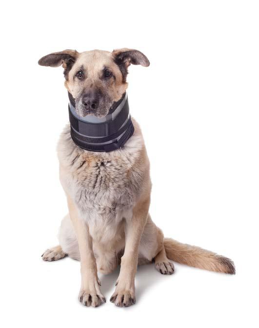 A Superior Soft Collar! Vets, Vet Techs, Pet Owners and their Pets all have good reason to celebrate! Smart design is durable, lightweight and very comfortable.