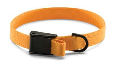 Pet Collars Featuring strong, wide webbing and double stitching at hardware and handle ends, these collars are durable and affordable.