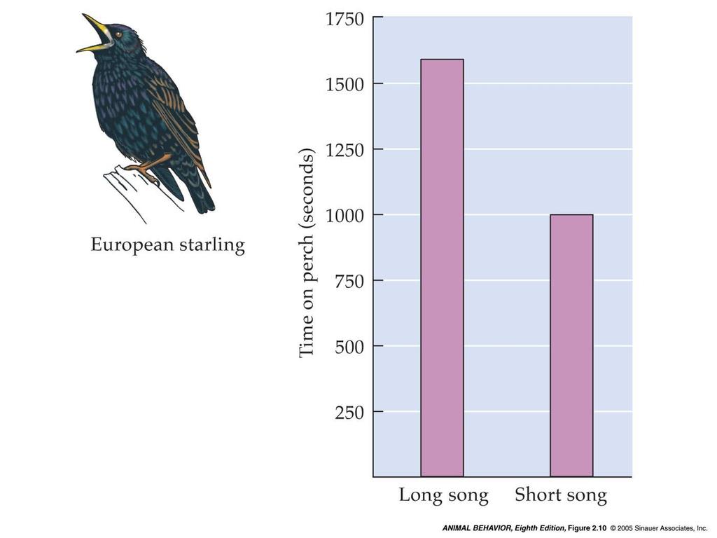 2.10 The song preferences of female starlings Sitting on