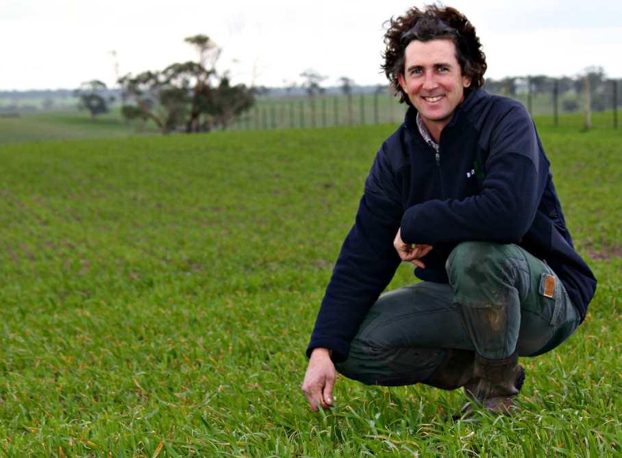 Management responses to Failed spring Standing oats (50 ha, 4000 lambs, 4-6 weeks, low risk) Grain imprinting lambs on ewes