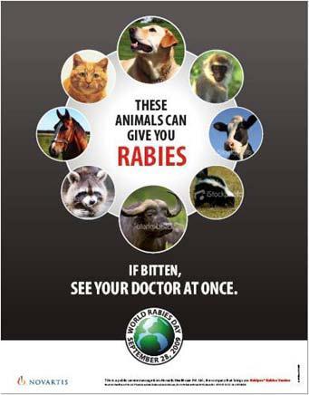 Elimination of Canine Transmitted Rabies in Asia and Africa Education Advocacy According to the WHO (2011), promotion and partnership are the three strategic elements, and the main focus is to