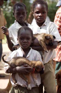 Vaccination Campaign The rabies vaccination campaigns will be