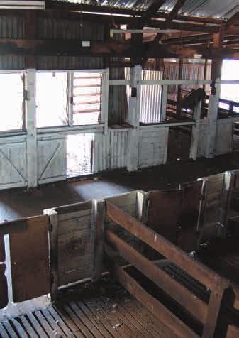 Shearing sheds A shearing shed has equal importance to harvesting machinery Most farmers will not tolerate clapped out tractors or headers.