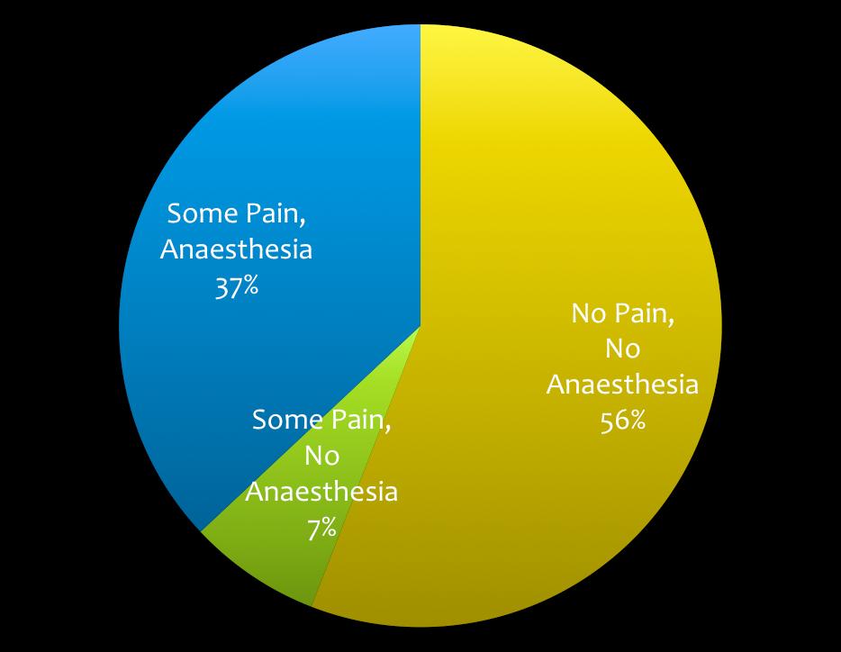 Pain - The Percentages Some Pain, No