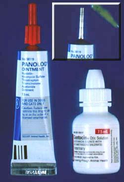 Ear medications may contain several different drugs and may be ointments (pictured on the left and in insert) or drops (pictured on the right).