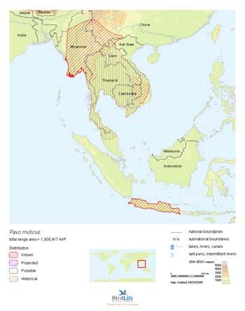 5. SPECIES CAMBODIAN CONSERVATION ACTION PLANS A.