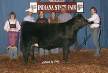the best Purebred Female we ve seen this year.