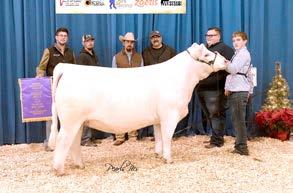 2 SIRE: MCF BOHANNON 305A (TIME BANDIT X 305 DONOR) DAM: 27 DONOR (HOO DOO) Lot 1 and 2 represent the best in  