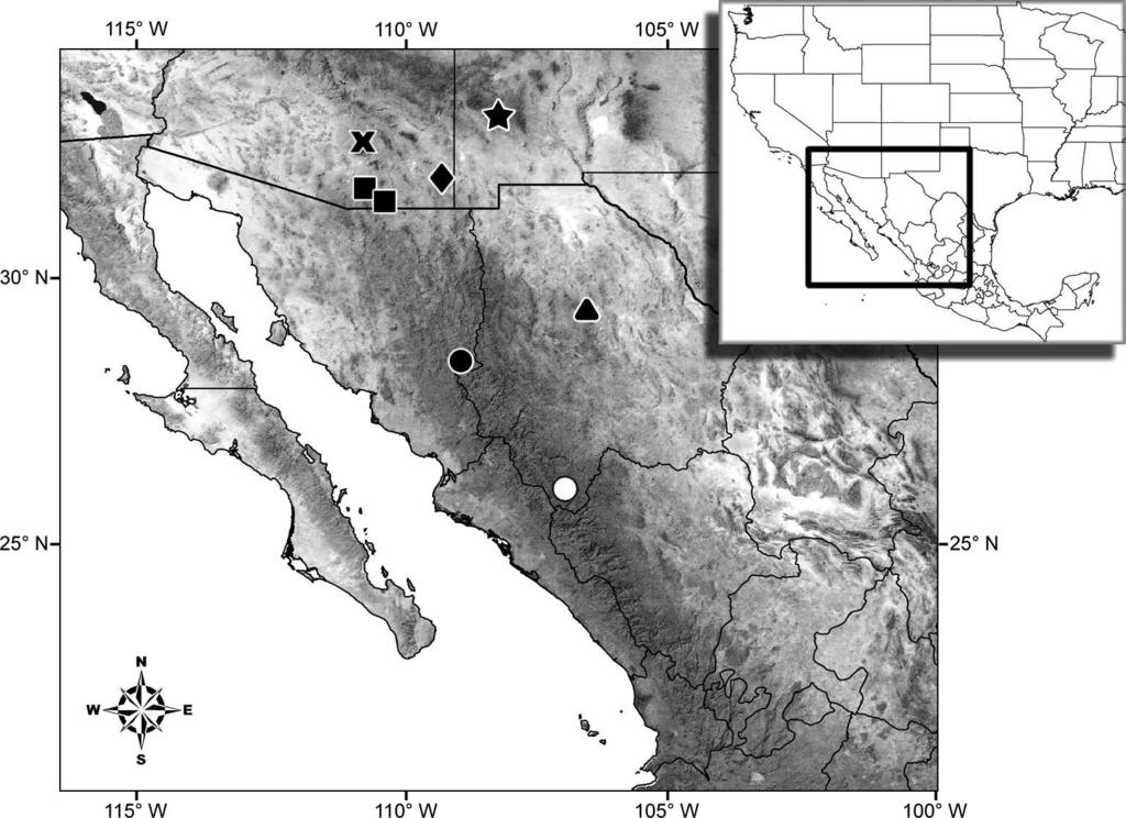 288 THE JOURNAL OF ARACHNOLOGY Figure 7. Distribution of Vaejovis montanus new species (circles) and four closely related mexicanus group species: V. cashi Graham (diamond), V. deboerae Ayrey (X), V.