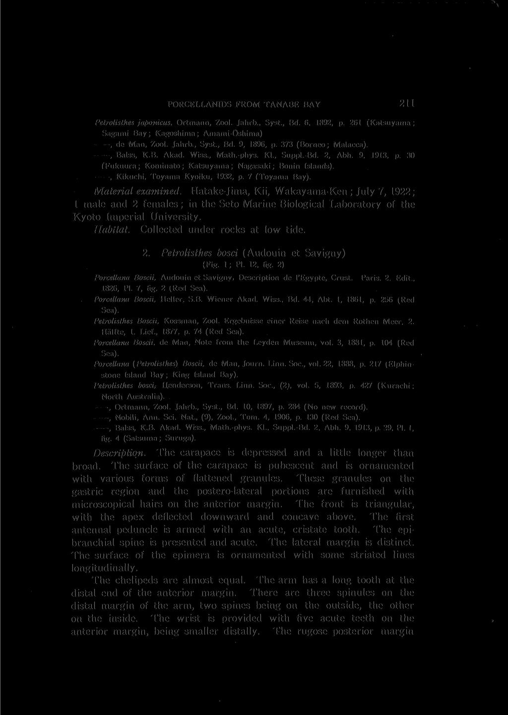 PORCELLANIDS FROM TANABE BAY 211 Petrolisthes japonicus, Ortmann, Zool. Jahrb., Syst., Bd. 6, 1892, p. 261 (Katsuyama ; Sagami Bay ; Kagoshima ; Amami-Oshima), de Man, Zool. Jahrb., Syst., Bd. 9, 1896, p.