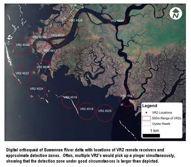 Appendix G: Detailed Description of Listed Species and Habitats Figure 1. U.S. Geological Survey (USGS) juvenile Gulf Sturgeon locations and detection zones in Suwannee River delta (Source: Randall et al.