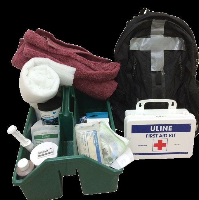 Having an Emergency Kit on hand could help save your horse s life By Jennifer Mayer, VMD Loomis Basin Equine Medical Center has a 24-hour-a-day emergency service to provide care for your horses, as