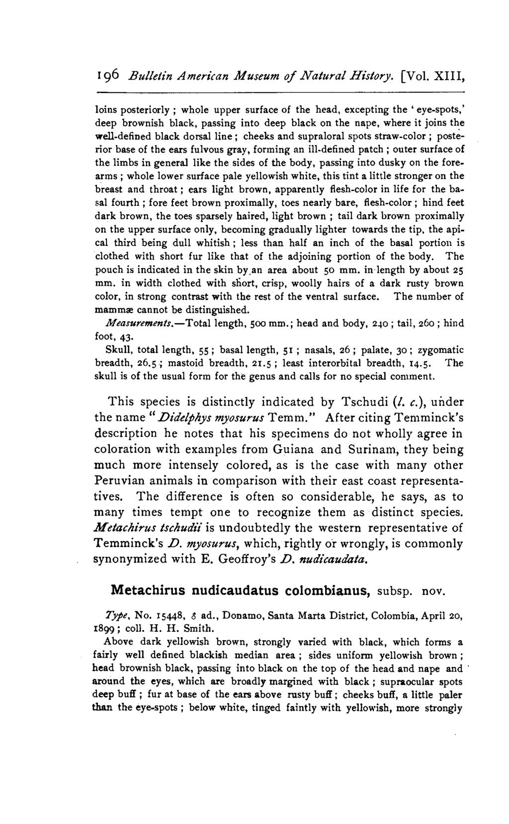 196 Bulletin Americnn Mwseum of Nafural History. [Vol.