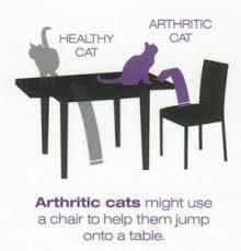 Once the arthritic process has started, there is no cure.