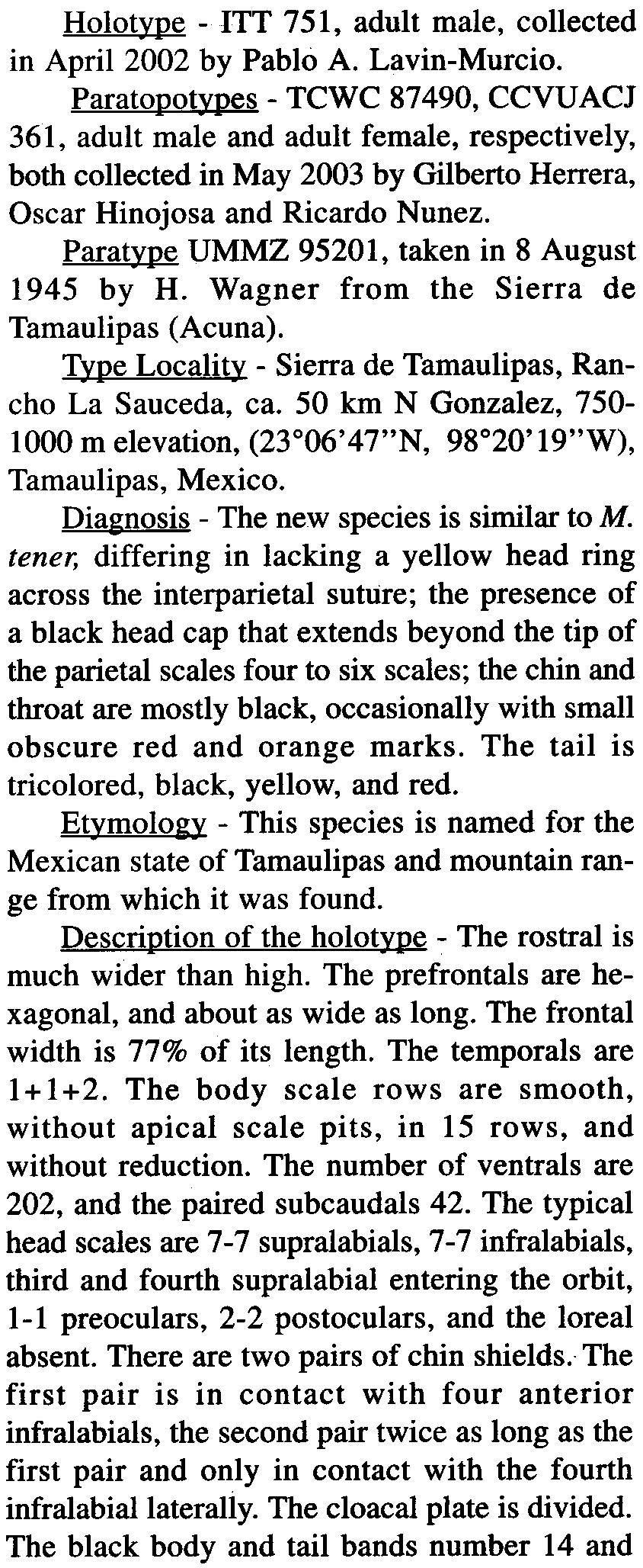 Lavin-Murcia and Dixon r i' Species Description Micrurus tamaulipensis sp. novo (Figure 1) Holot~l2e - ITT 751, adult male, collected in April 2002 by Pablo A. Lavin-Murcio.