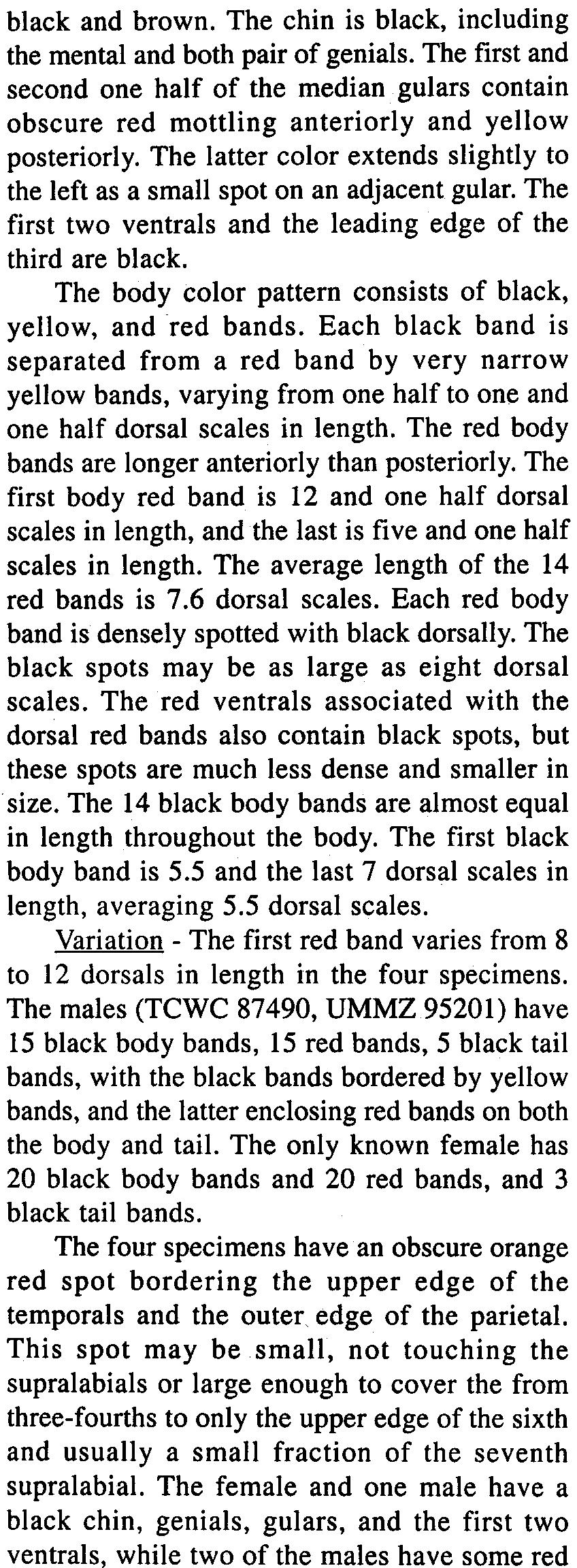 The first body red band is 12 and one half dorsal scales in length, and the last is five and one half scales in length. The average length of the 14 red bands is 7.6 dorsal scales.