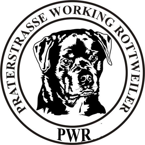 Praterstrasse Working Rottweiler Club Presents a USRC Sanctioning event Sanctioning Conformation