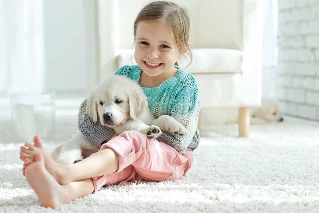 As a member of your family, your pet deserves 0nly the Best Curver is a leading European producer of home products.