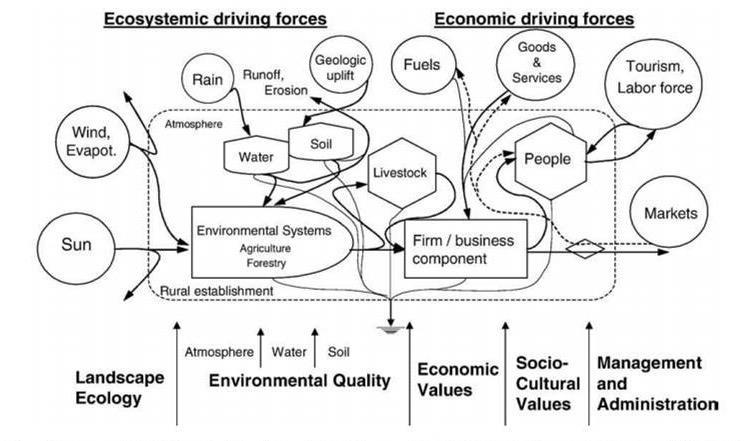 This figure encompasses the farm activities' effects on the local ecosystem, their influence on the quality of environmental factors, the economic performance, the effects on social interests of