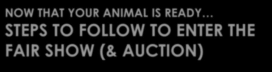 NOW THAT YOUR ANIMAL IS READY STEPS TO FOLLOW TO ENTER THE FAIR SHOW (& AUCTION) DUE AUGUST