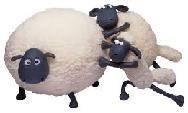 SHEEP THURS, MAY 4,