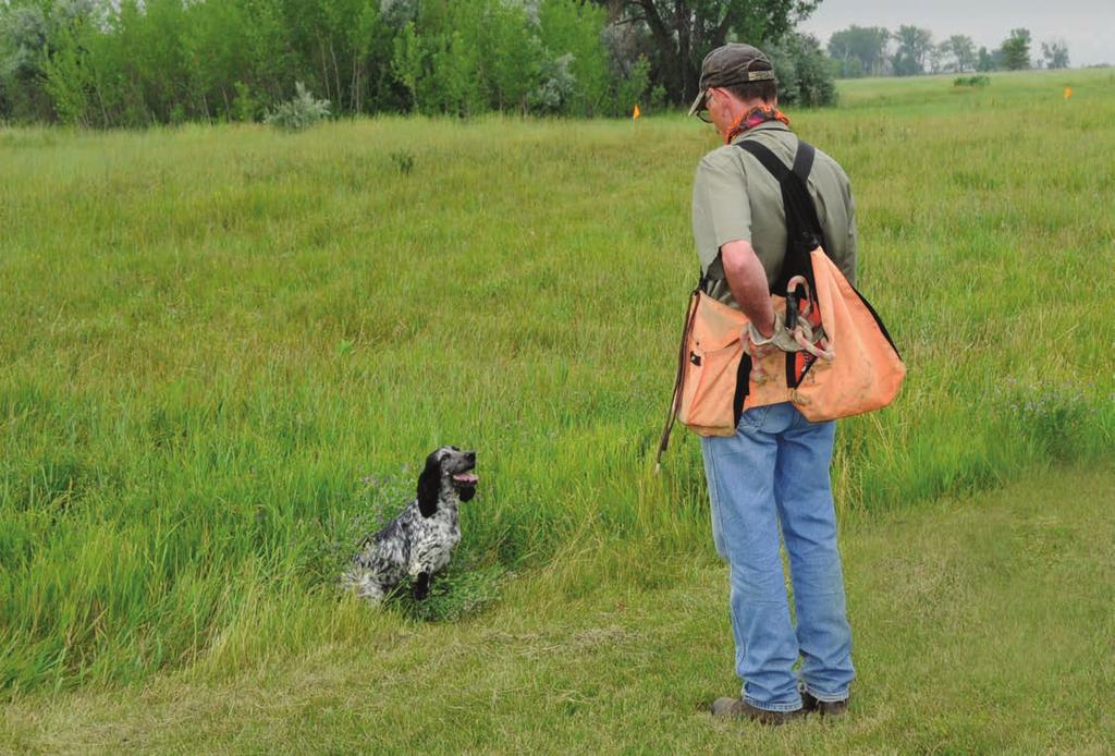 Fall 2017 PRESEASON TRAINING OF SPORTING DOGS STARTS LONG BEFORE FALL Tom Ness of Oahe Kennels in Menoken, North Dakota, customizes training based on whether a dog will hunt or work as a field trial