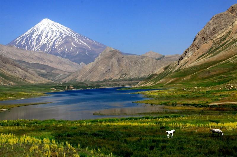 Thank You View of Damavand