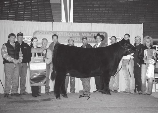 One of her first daughters was successfully campaigned by the Vickland family with calf championships at the American Royal and National Western.
