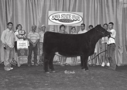 happen every day. Tested clean, this Paddy O Malley female was named Grand Champion MaineTainer at the 2009 National Junior Maine-Anjou Show in Murfreesboro, Tenn.