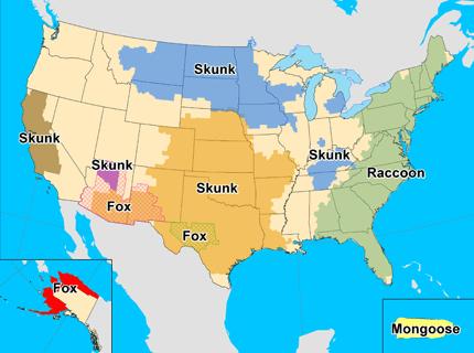 Rabies Distribution in the United States Rabies is found throughout the United States, with the exception of Hawaii (CDC, 2011d).