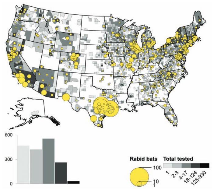Most rabid cat cases occurred in northeastern states where raccoon rabies is enzootic (Blanton et al. 2011). In 2010, only 69 rabid dogs were reported (Blanton et al. 2011). These cases occurred throughout central and eastern U.