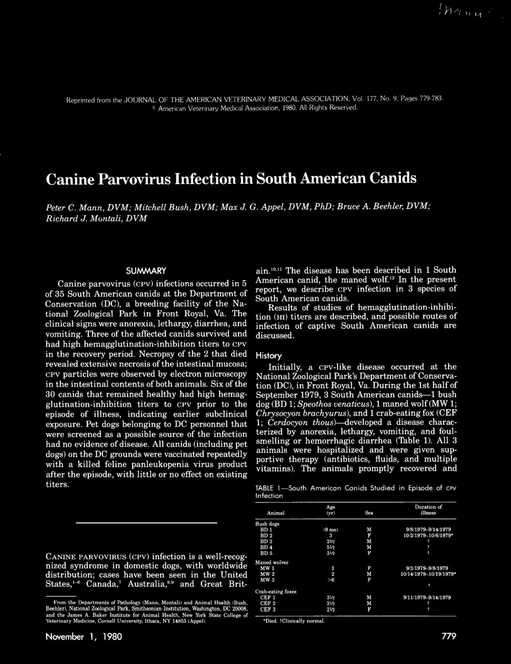 onali, DV SUAAARY Canine parvovirus (CPV) infecions occurred in 5 of 5 Souh American canids a he Deparmen of Conservaion (DC), a breeding faciliy of he Naional Zoological Park in ron Royal, Va.